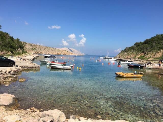 Wil Vannese Stinica Εξωτερικό φωτογραφία