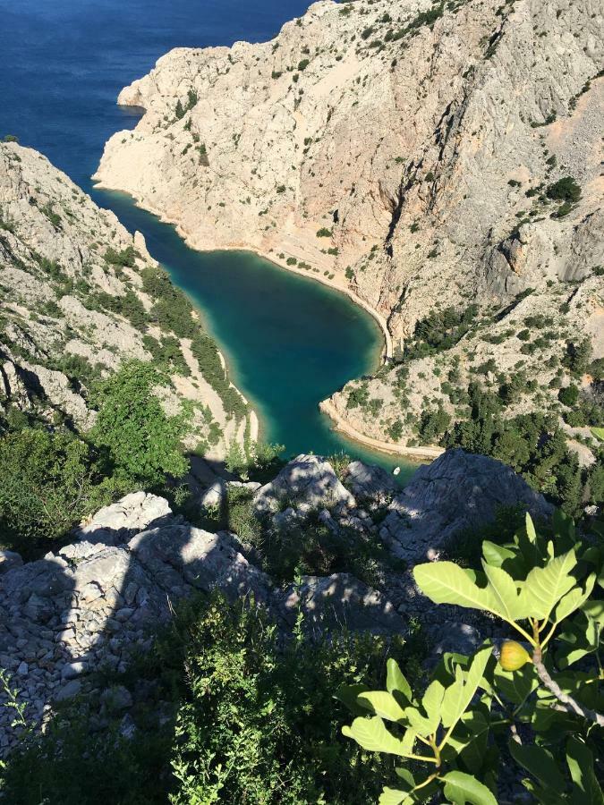 Wil Vannese Stinica Εξωτερικό φωτογραφία