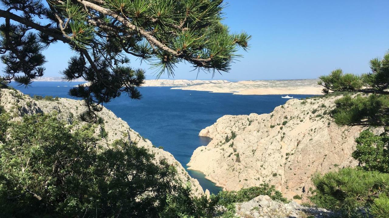 Wil Vannese Stinica Εξωτερικό φωτογραφία