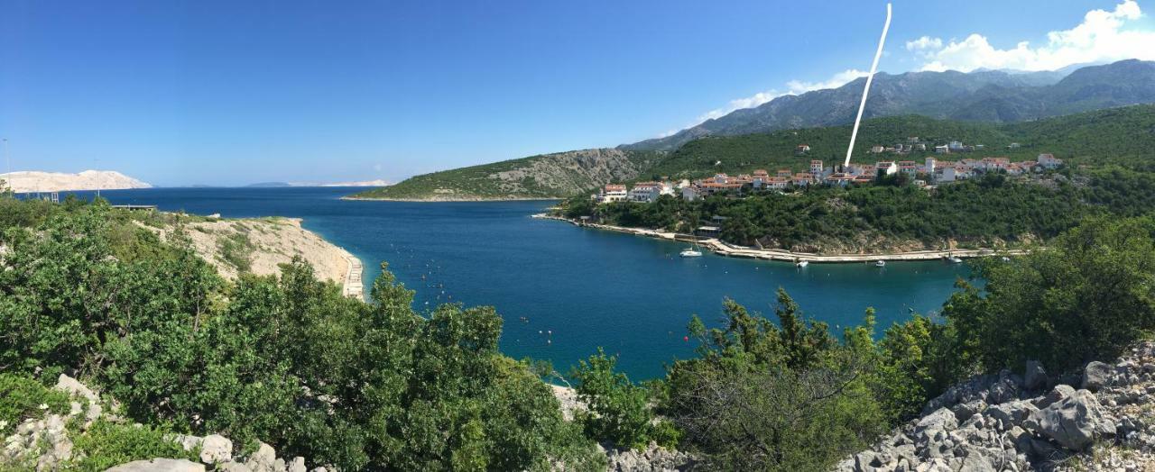 Wil Vannese Stinica Εξωτερικό φωτογραφία