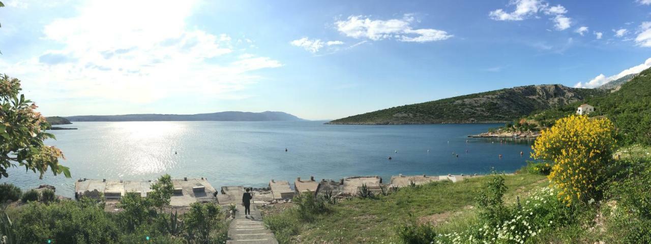 Wil Vannese Stinica Εξωτερικό φωτογραφία