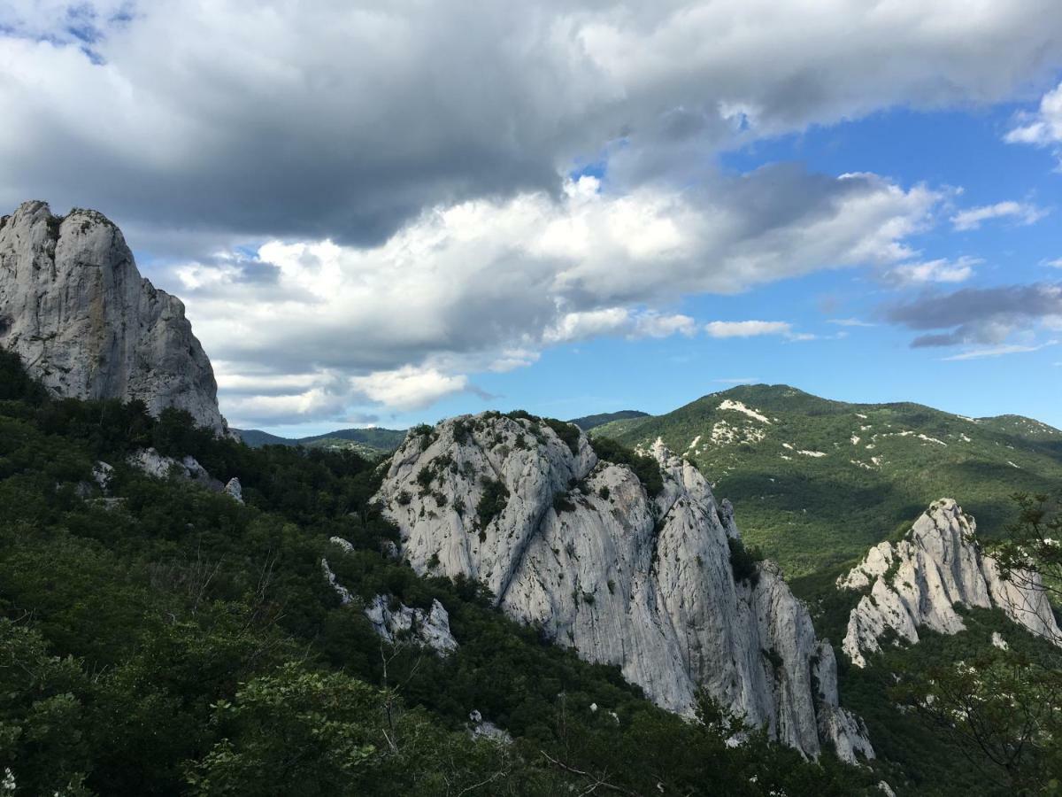 Wil Vannese Stinica Εξωτερικό φωτογραφία